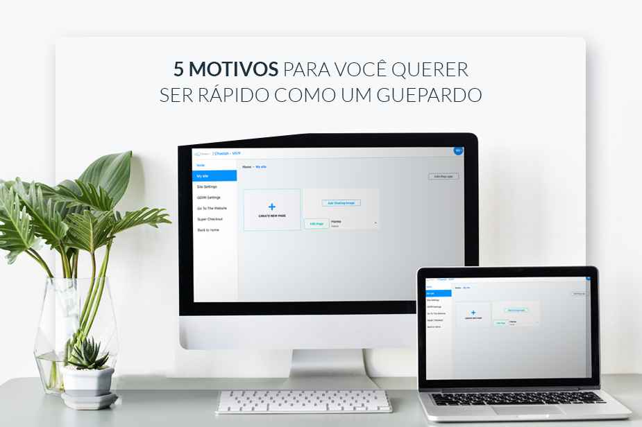 5 MOTIVOS PARA VOC QUERER SER RPIDO COMO UM GUEPARDO (CHITA)